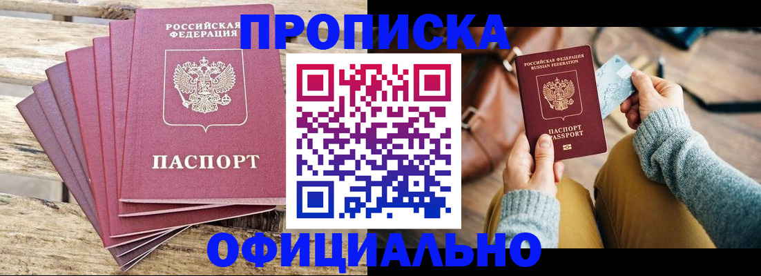 где прописаться в Сольцах